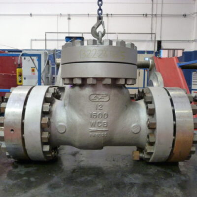 Check Valve