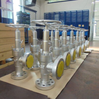 Globe Valve
