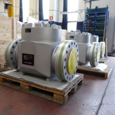 Check Valve