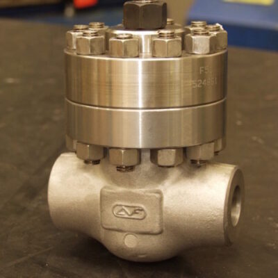 Check Valve