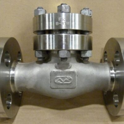 Check Valve