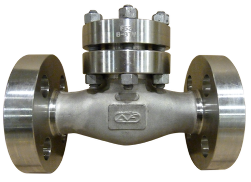 Check Valve