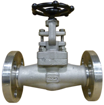 Globe Valve