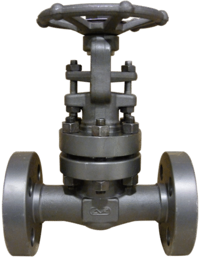 Gate Valve